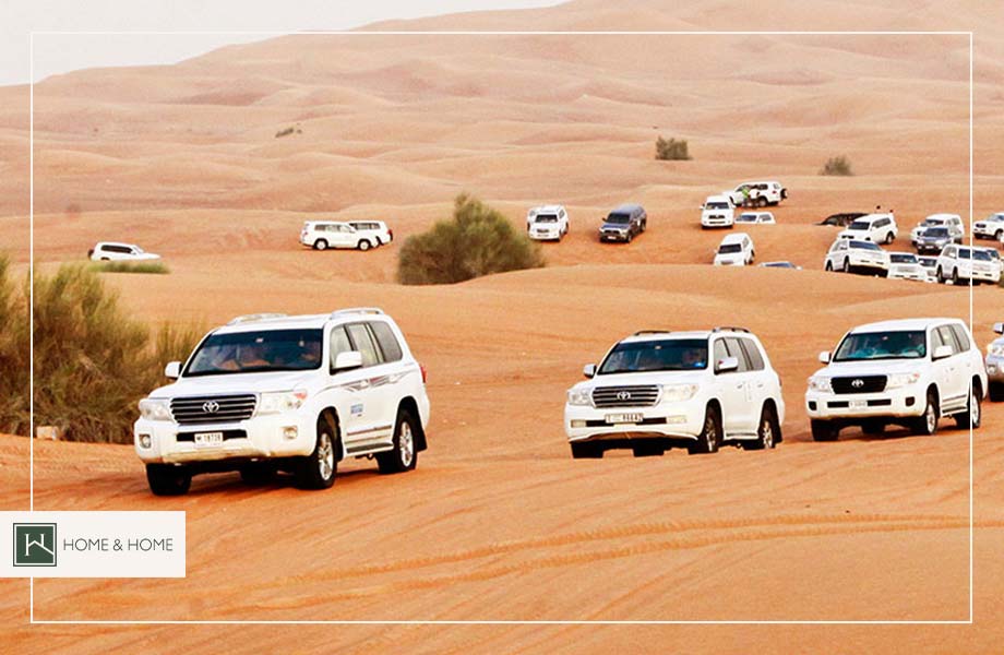 سافاری دبی! لیست بهترین سافاری های دبی